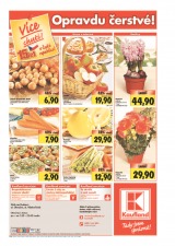 Kaufland Aktuln nabdka od 3.1.2013, strana 24 