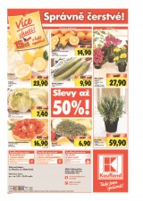 Kaufland Aktuln nabdka od 10.1.2013, strana 16 
