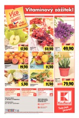 Kaufland Aktuln nabdka od 17.1.2013, strana 12 