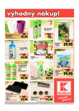 Kaufland Aktuln nabdka od 24.1.2013, strana 17 