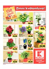 Kaufland Aktuln nabdka od 24.1.2013, strana 24 