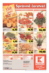 Kaufland Aktuln nabdka od 21.2.2013, strana 20 