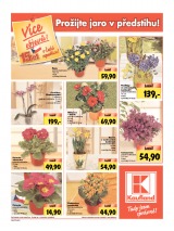 Kaufland Aktuln nabdka od 28.2.2013, strana 22 