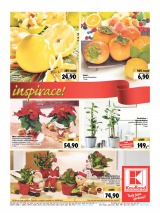 Kaufland Aktuln nabdka od 4.12.2014, strana 7 