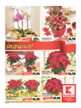 Kaufland Aktuln nabdka od 18.12.2014, strana 5 