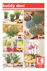Kaufland Aktuln nabdka od 22.1.2015, strana 7 