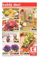 Kaufland Aktuln nabdka od 12.2.2015, strana 9 