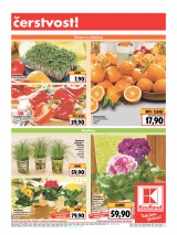 Kaufland Aktuln nabdka od 19.2.2015, strana 5 
