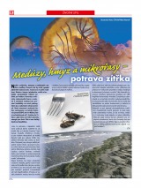 Kaufland Aktuln nabdka od 5.3.2015, strana 38 