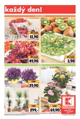 Kaufland Aktuln nabdka od 12.3.2015, strana 9 