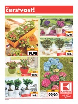 Kaufland Aktuln nabdka od 19.3.2015, strana 5 