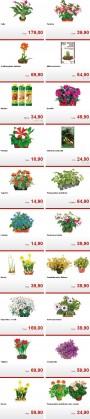 Kaufland, strana 2 