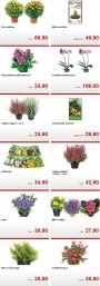 Kaufland, strana 3 