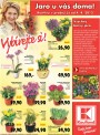 Kaufland, strana 27 
