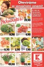 Kaufland, strana 24 