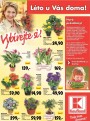 Kaufland, strana 26 