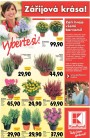 Kaufland, strana 16 