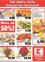 Kaufland, strana 20 